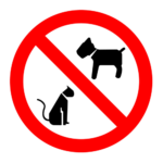no pets
